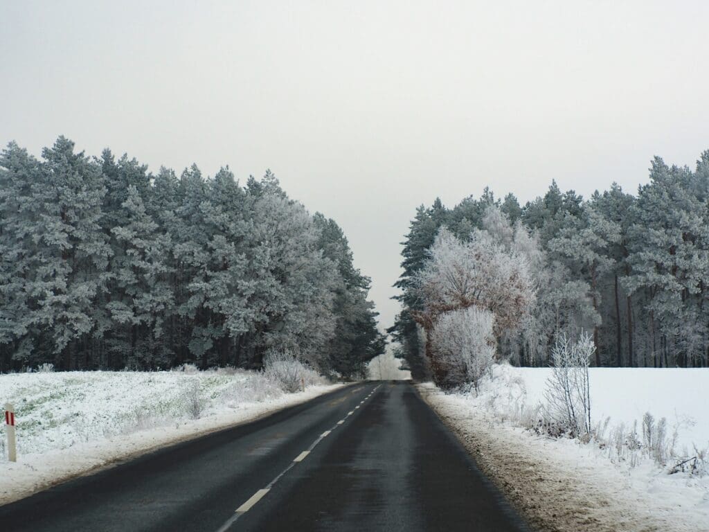 Snowy road surrounded by frosted trees.